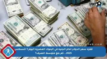 قفزة سعر الدولار أمام الجنيه في البنوك المصرية اليوم 1 أغسطس 2025.. كم بلغ متوسط الصرف؟